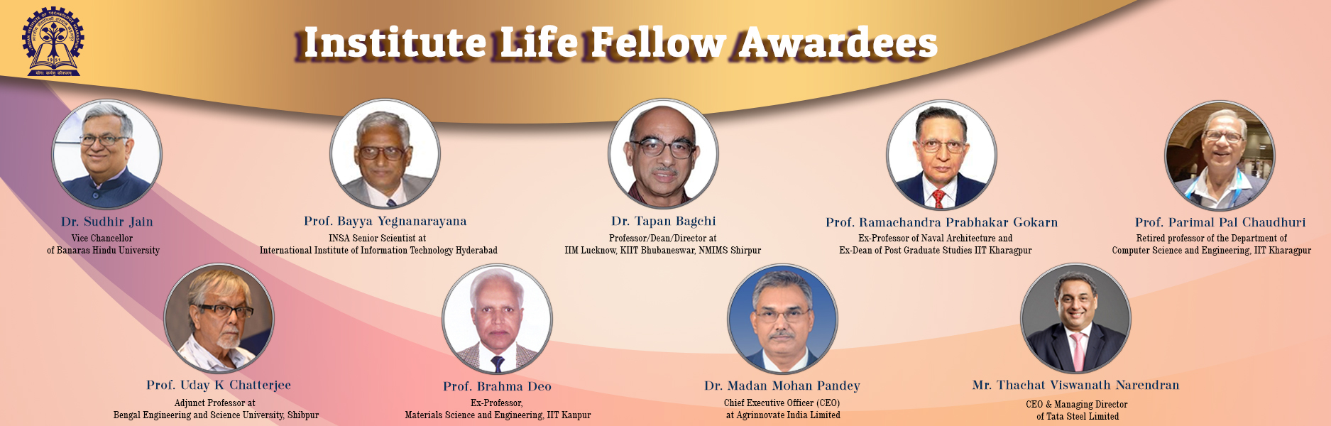 Life Fellow Award